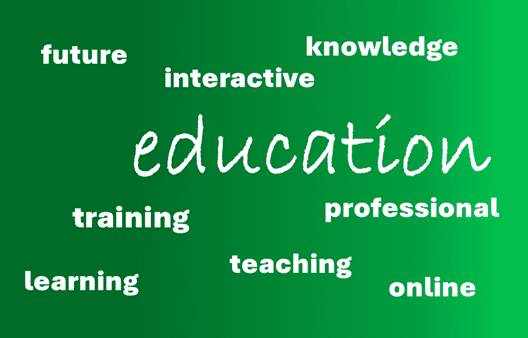 The Future of Professional Education: Blended Learning Explained